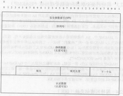 因特网协议安全（IPsec）(图1)