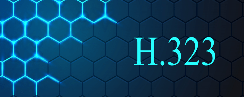 H.323終端呼叫流程：多連接流程